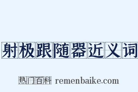射极跟随器近义词是什么意思的图片